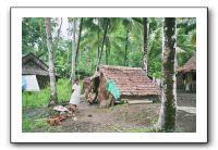 Les maisons provisoires, construites par les familles